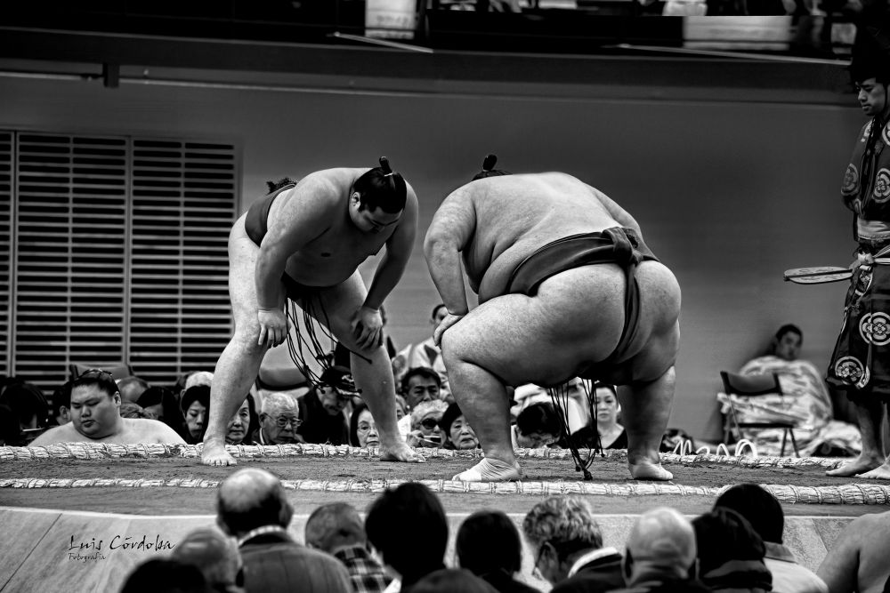 Japanese full-contact wrestling sport with rich history intertwined with Japanese and Shinto religious  culture #super #humansOfBlueSky
My 🔝portrait 📷 ▶️
https://bsky.app/profile/did:plc:gkdzhhasll5lweby2pnakh3c/feed/aaahz5tnhxgro

 #storytelling #luiscordobapharchive  #portrait  #art   #picoftheday 
 #photographer 
  #eastcoastkin 
 #japan #tokyo