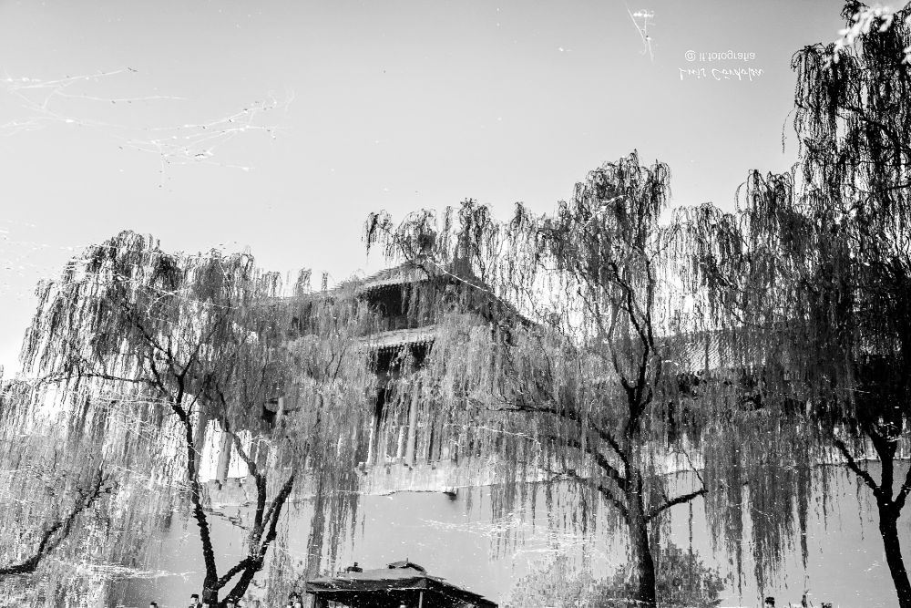 #emperor #City it is a reflection. is everything here turned up down as it is? my photos in MEDIA ▶️ https://bsky.app/profile/did:plc:gkdzhhasll5lweby2pnakh3c/feed/aaabby22ehomq my #scape ▶️ https://bsky.app/profile/did:plc:gkdzhhasll5lweby2pnakh3c/feed/aaahz7avjwmia #storytelling #luiscordobapharchive #art #picoftheday #earth #landscape #forbidden #cityscape #photographer #eastcoastkin 