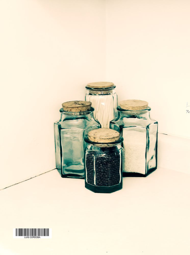 their inherent transparency and sleekness lend themselves beautifully to visual appeal in the kitchen, simply and beautiful 
my 🔝🌷📷here ⬇️:
bsky.app/profile/did:...

 #storytelling #luiscordobapharchive  #eastcoastkin #art   #picoftheday    #design #abstract 
 #photography   
(right from my kitchen)