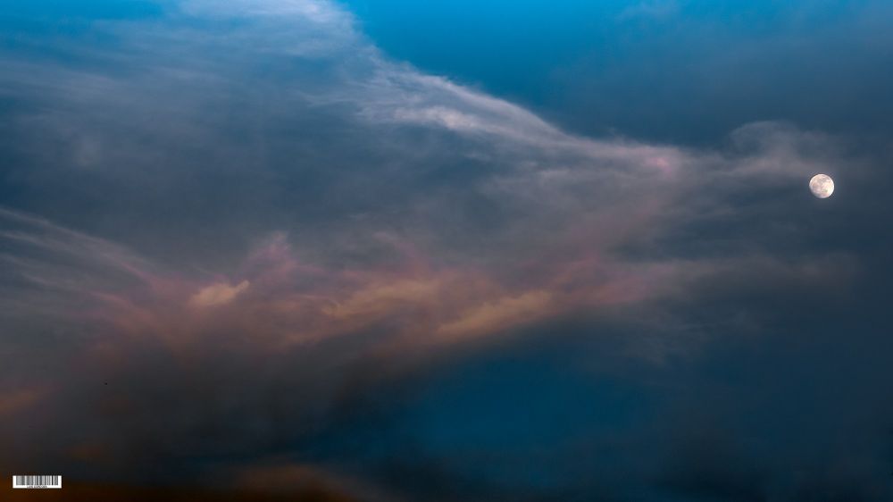 #storytelling  #eastcoastkin ⁠#luiscordobapharchive  #BlueSkyMonday
Happy Easter, If BlueSky is designed around reposting, and reposting brings a post back to life, why not repost a post from our close and active followers a day? find mis amigos at  (30min to refresh)
https://bsky.app/profile/did:plc:gkdzhhasll5lweby2pnakh3c/feed/aaafmb5gbymae