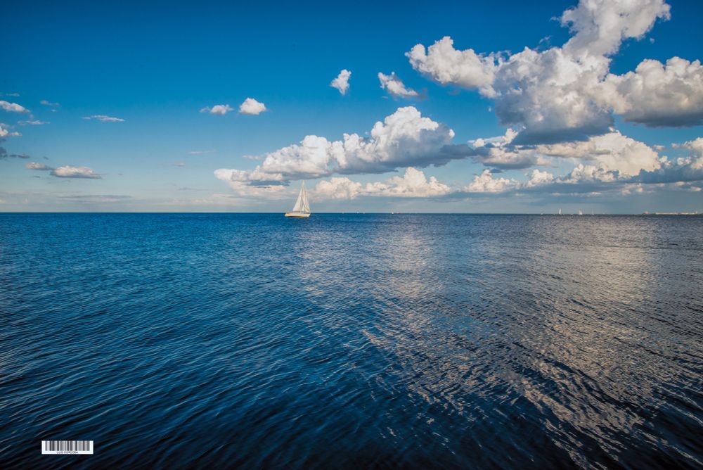 hey , you! yes! you !! come, sail with me!! 
#chicago #lake #michigan #sail 
 #storytelling #luiscordobapharchive  #eastcoastkin #art   #picoftheday   
Visit my collection here
https://bsky.app/profile/did:plc:gkdzhhasll5lweby2pnakh3c/feed/aaakxjvg42x26