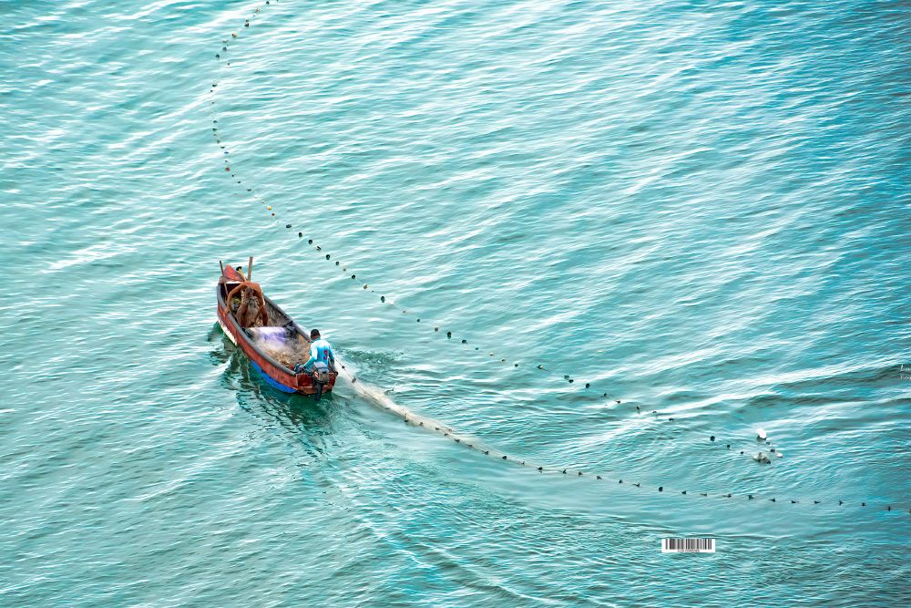 Come and let us be fishers of the humanity photo mosaic🍀 #caribbean #sea 2 #fishermen
and don't forget Repost! , it is how BlueSky is designed to work
 #humansOfBlueSky
 #storytelling #luiscordobapharchive  #eastcoastkin #art   #picoftheday   
Visit my collection here
https://bsky.app/profile/did:plc:gkdzhhasll5lweby2pnakh3c/feed/aaakxjvg42x26