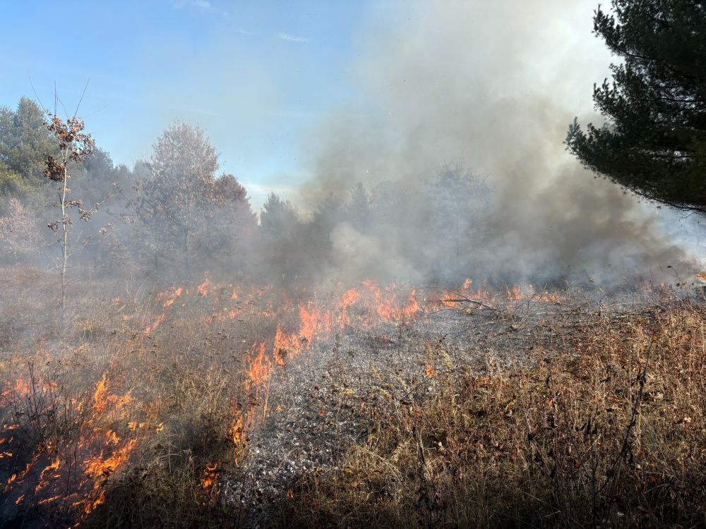 Flaming fronts from stripping ignitions converge at the Mukwonago River Oak Barrens on 11/13/25. 