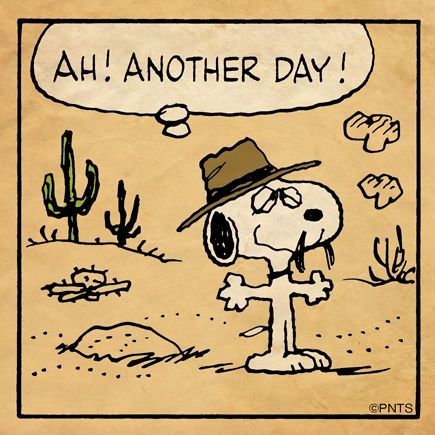 An image of Snoopy's brother Spike. He is standing in the desert with a thought bubble over his head that sayd "Ah! Another day!"