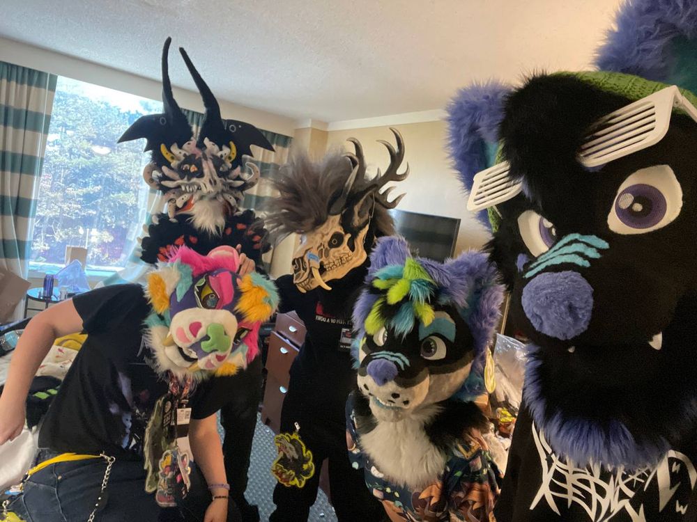 Group photo, left to right; Splendid, Scral, Noir, Willo, and Winnie 