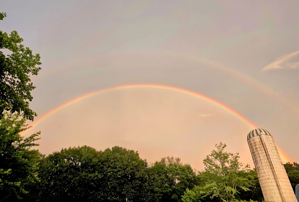 Full double rainbow in a lightly gray sky over a green tree line with an old silo that is white with a green and white striped top on the right side of it  Top rainbow is lightly visible 