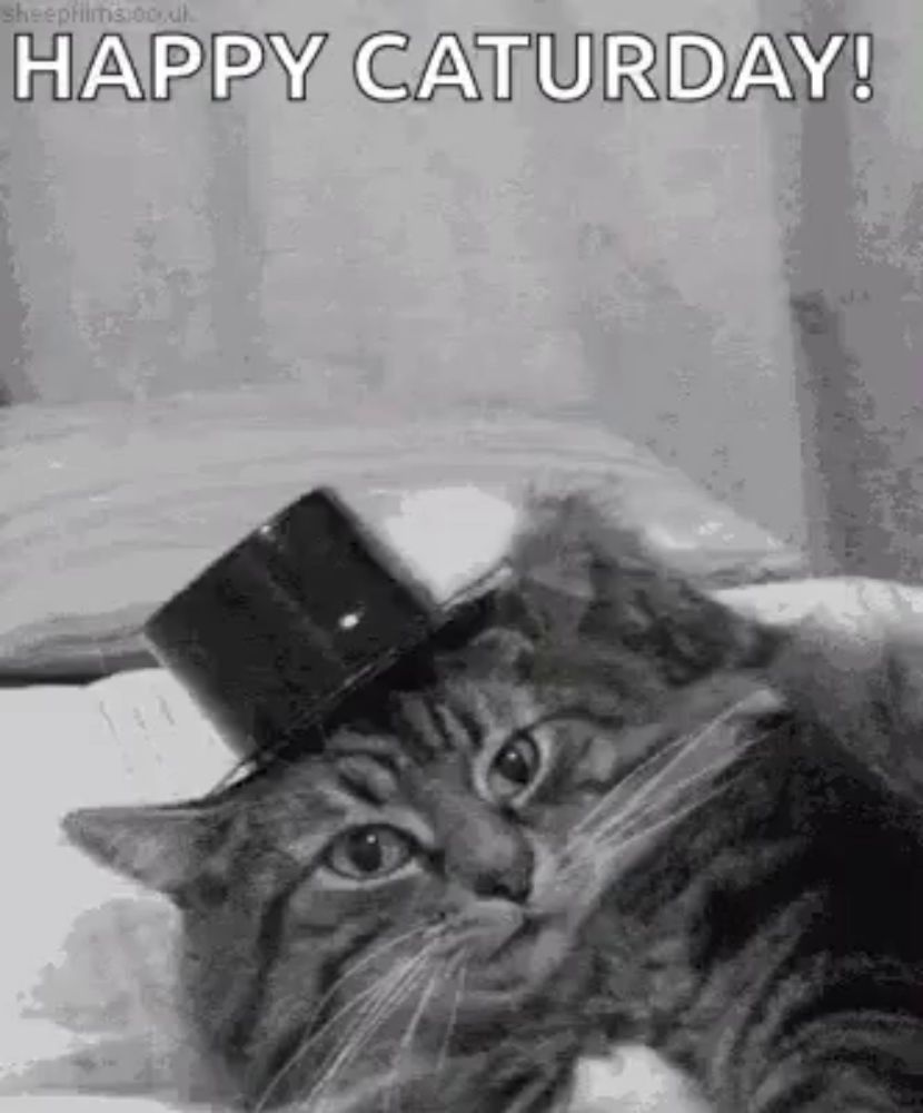 a cat wearing a top hat is laying on a bed with the words `` happy saturday '' .