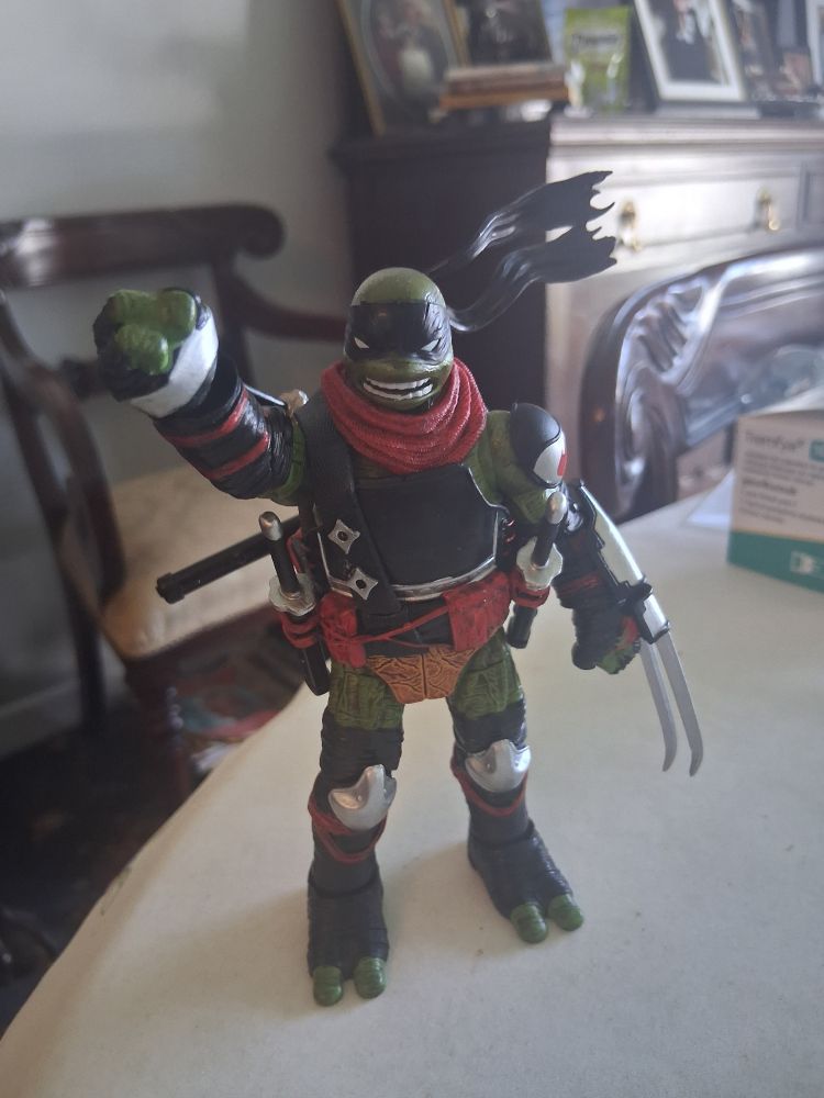 An image of a Ninja Turtle figure.