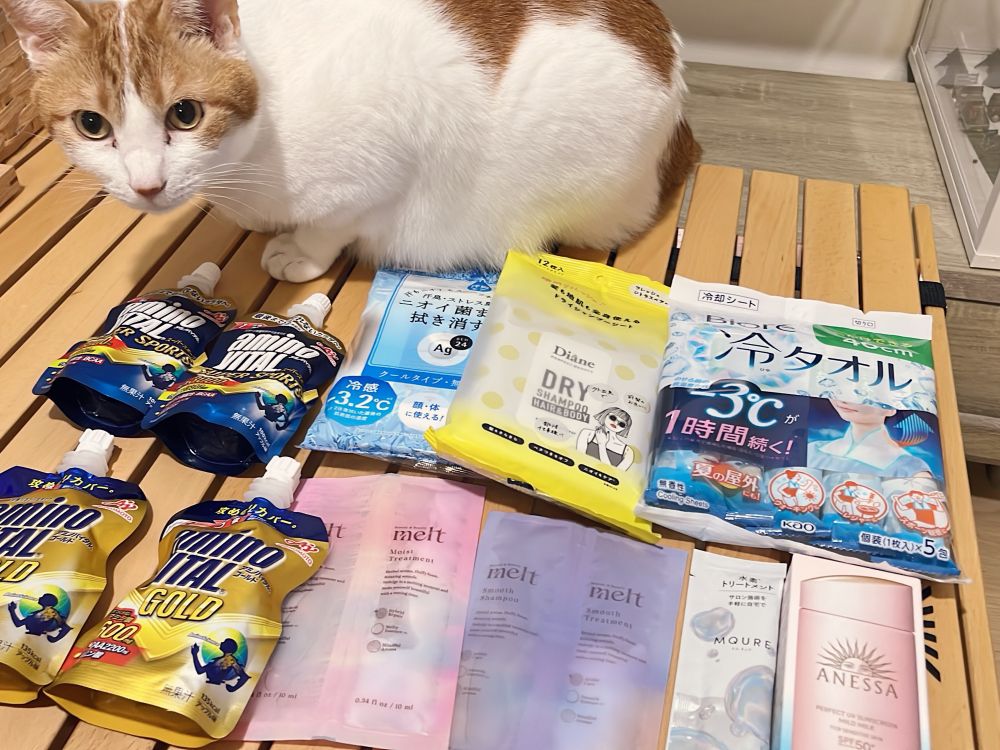 ﾈｺﾁｬﾝとサマソニ用の買い物たち