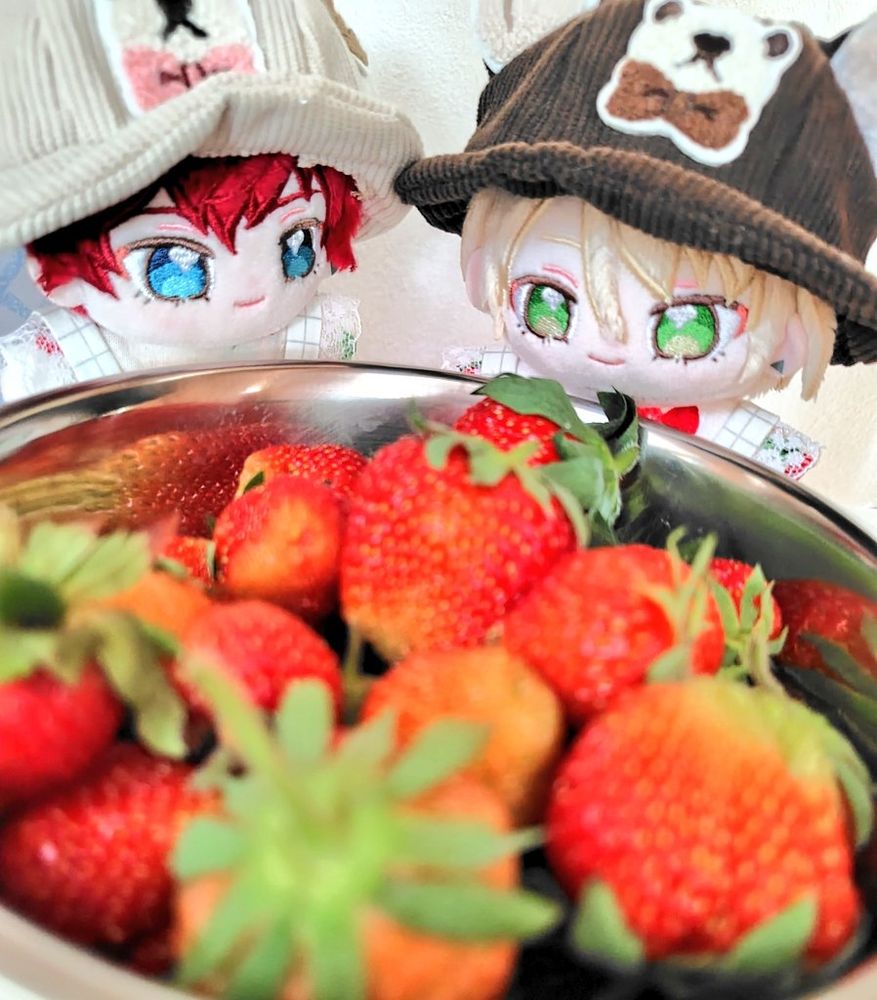 うむ！たくさんのいちごだね！藍良！
でも、こんなにもたくさんのいちごを食べてしまったら、お腹壊しちゃうよ？