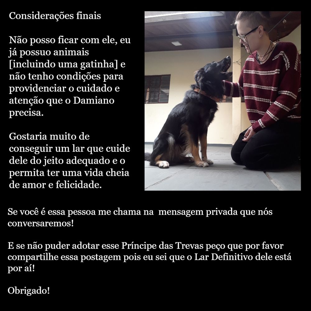 Considerações finais

Não posso ficar com ele, eu já possuo animais [incluindo uma gatinha] e não tenho condições para providenciar o cuidado e atenção que o Damiano precisa.
Gostaria muito de conseguir um lar que cuide dele do jeito adequado e o permita ter uma vida cheia de amor e felicidade.
Se vc é essa pessoa me chama na mensagem privada que nós conversaremos! Se não puder, por favor compartilhe esse post!