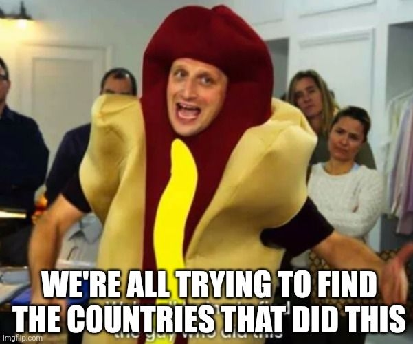A variant of the Tim Robinson hot dog guy meme. Tim, in the hot dog costume, is saying "We're all trying to find the countries that did this"