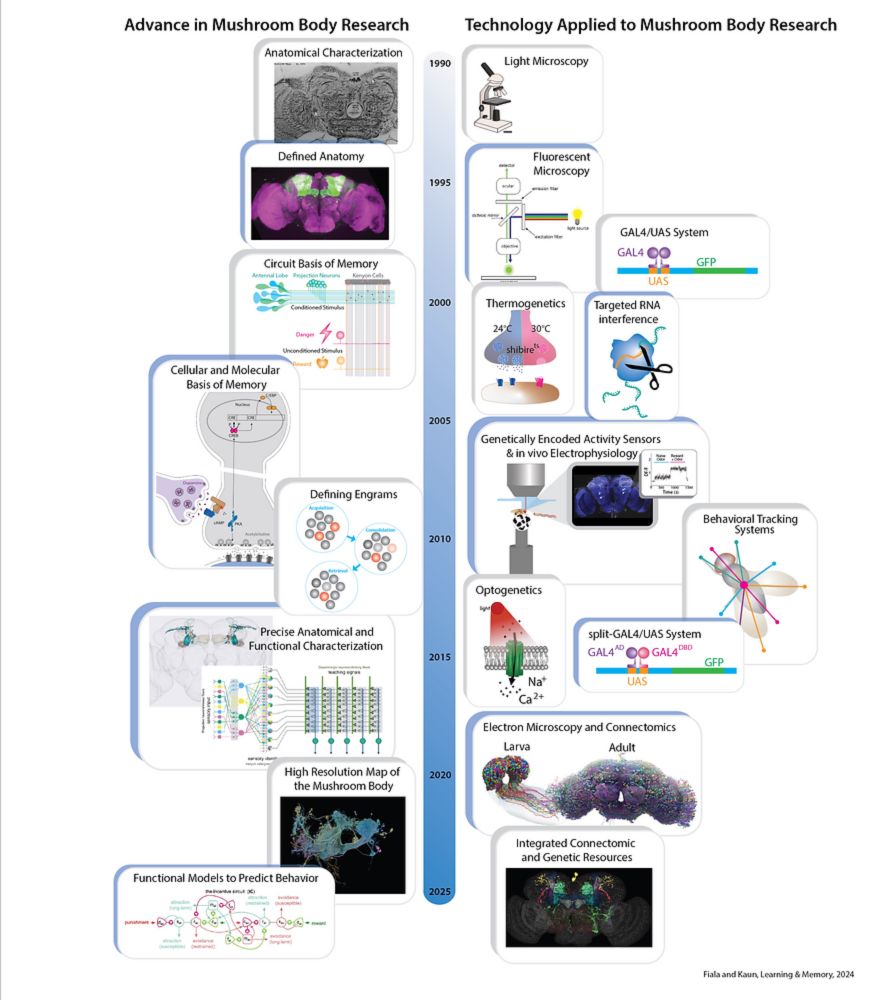 Fiala & Kaun Editorial on the Mushroom Body