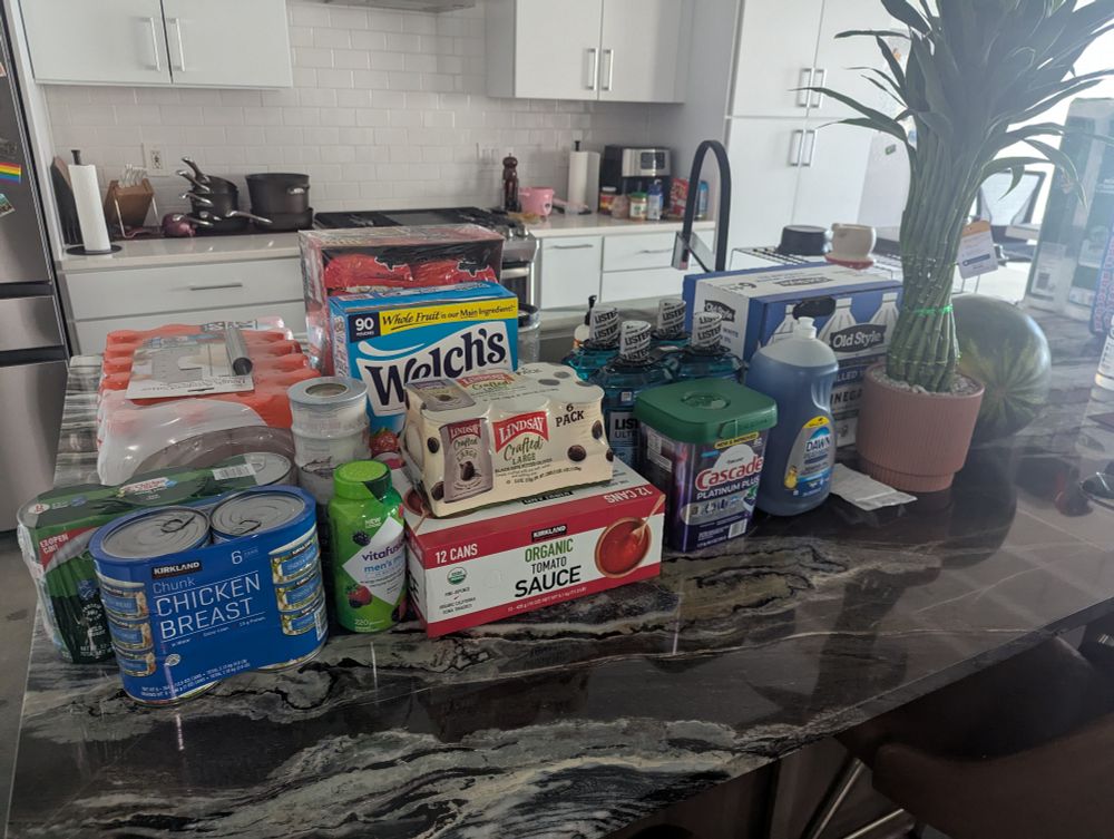A kitchen counter full of bulk non-perishable food items (and a bamboo house plant)