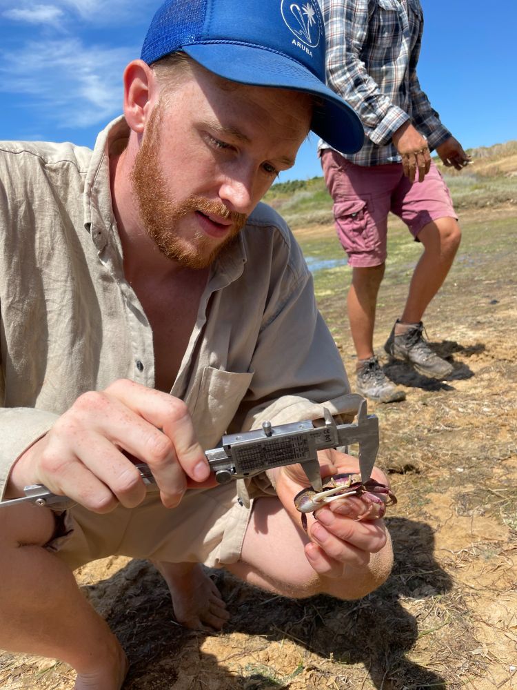 Tom measures crab morphology to correlate with seismic signals