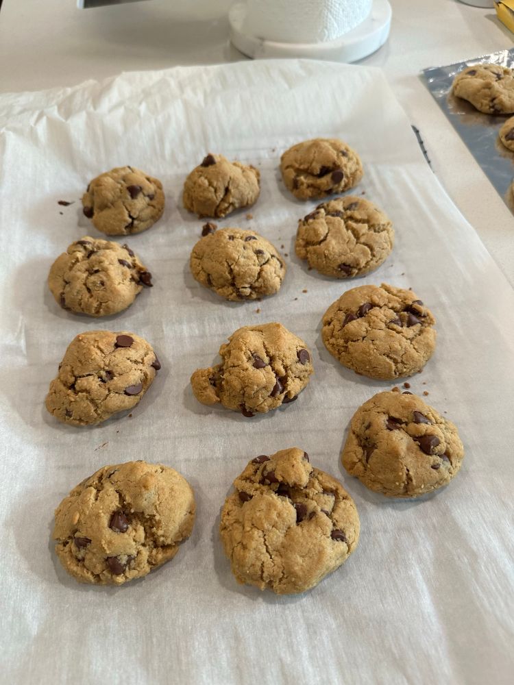 Peanut butter chocolate chip cookies on parchment paper to cool