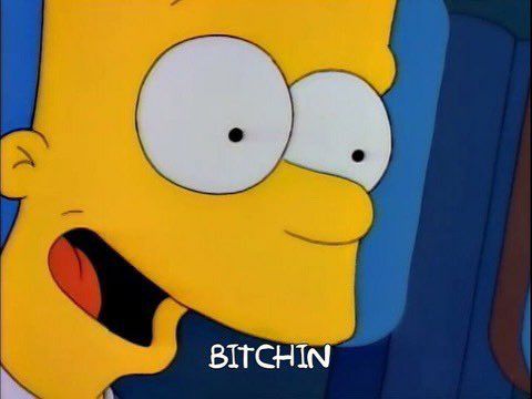 Bart Simpson says bitchin 