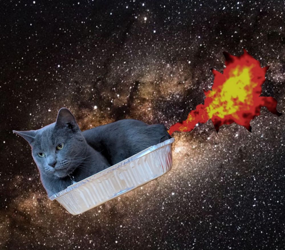 Cat in tin pan in space