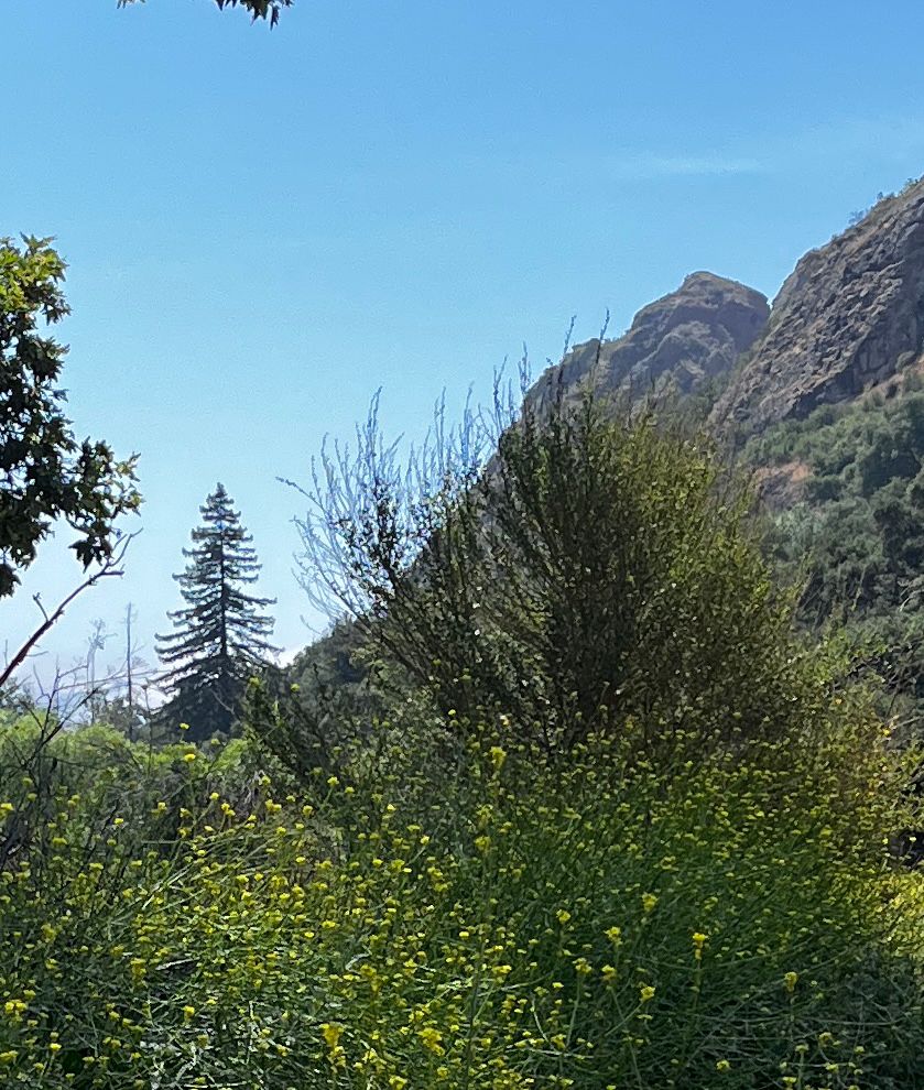 Malibu Creek State Park