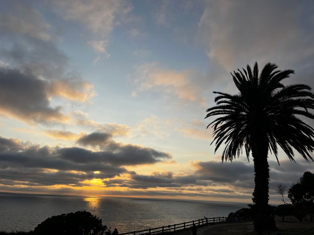 A sunset over the ocean with a palm tree