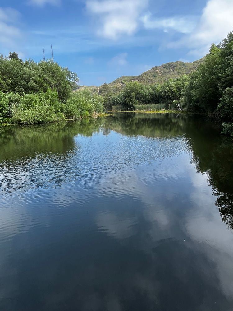 Malibu Creek State Park