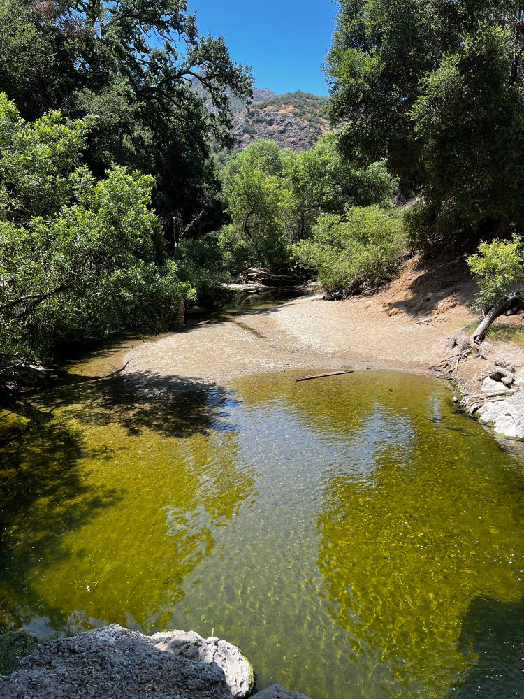 Malibu Creek State Park