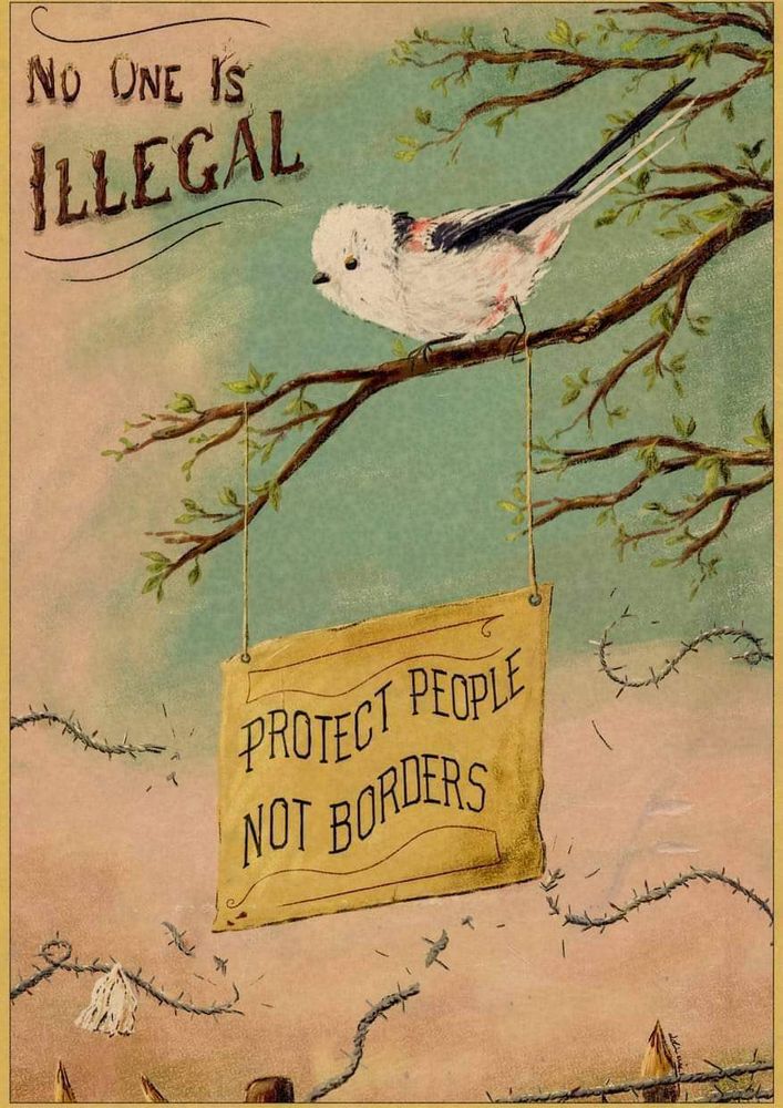 A peaceful nature painting of a bird sitting in a branch with a sign that says “no one is illegal. Protect people, not borders”