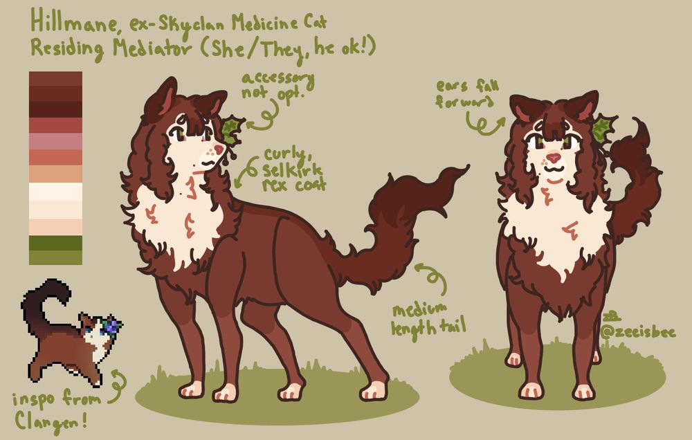 reference sheet of a curly-coated, brown and cream cat named hillmane. she has a dark brown backstripe which leads to her tail. her tailtip is a darker brown. she has a cream face and a cream throat-to-chest marking. her paws are also cream.