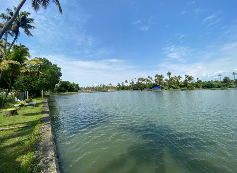Backwaters in Kerala