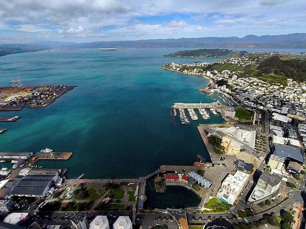 Wellington harbour looking north towards Lower Hutt