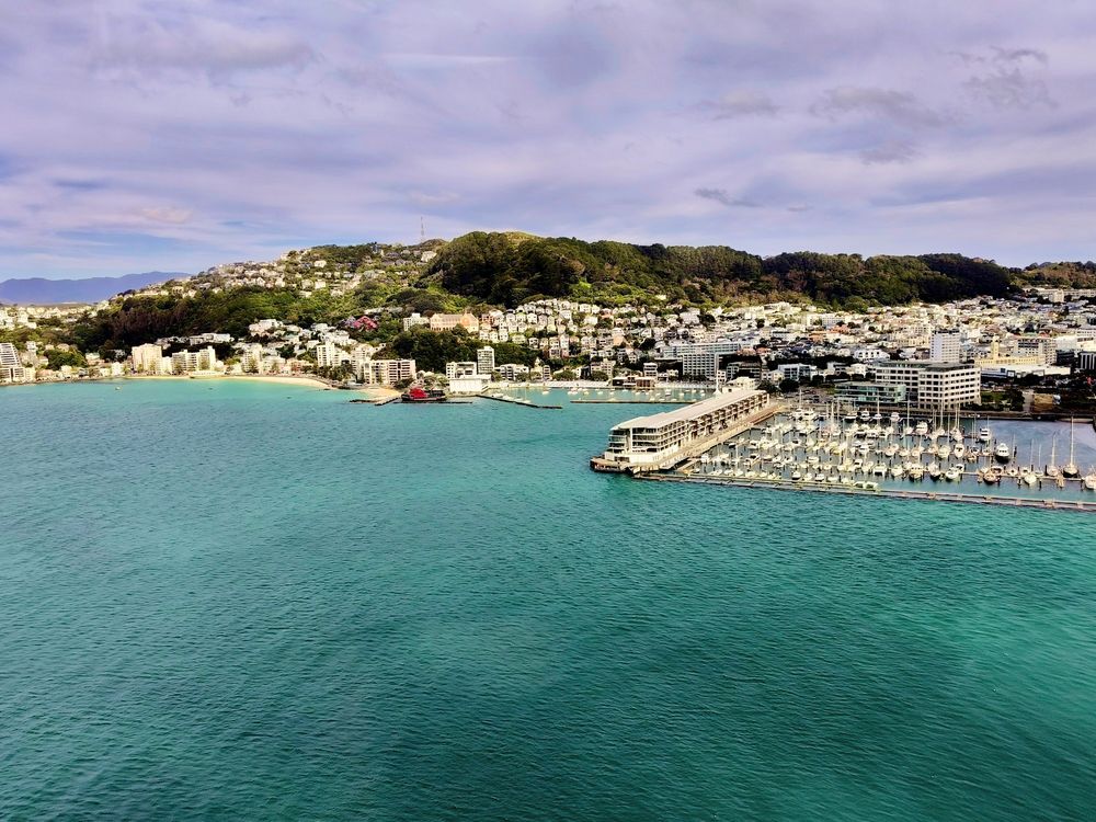 Oriental Bay and Mount Victoria
