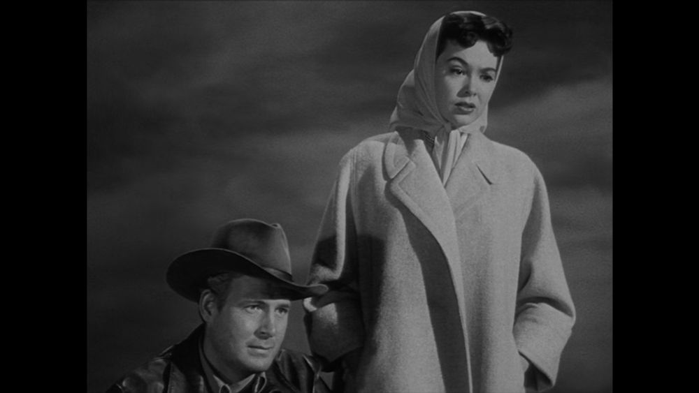 A man in a hat and a brunette woman look onward