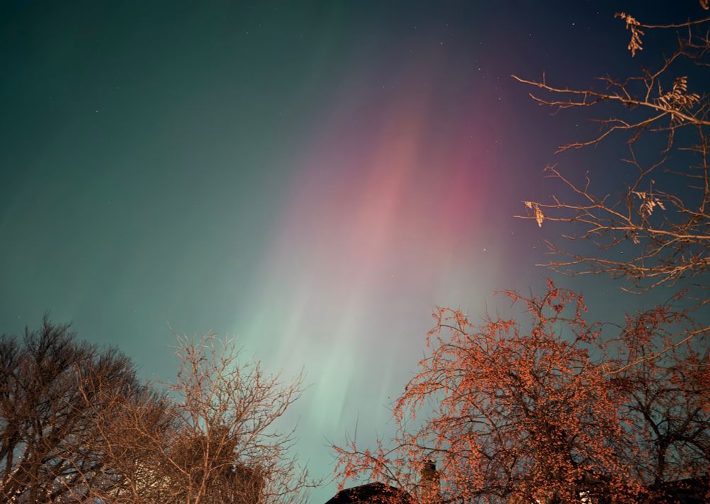 The northern lights on display above some trees and roofs, with a bright band of red to green in the center of the sky 