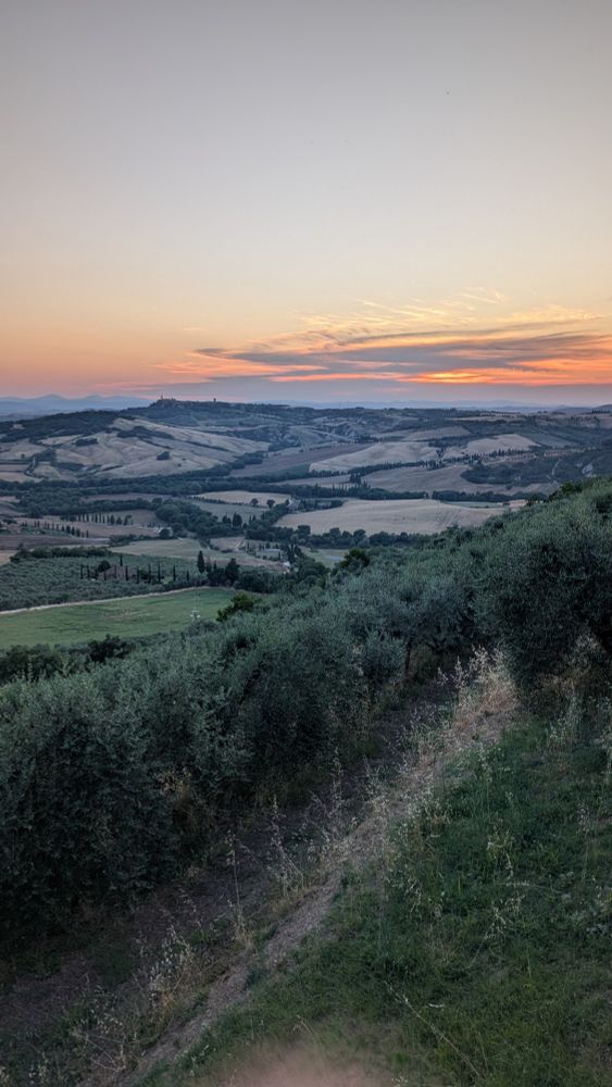 Cette photo capture un magnifique coucher de soleil sur le paysage toscan depuis l'entrée de Monticchiello. Au premier plan, on observe une végétation méditerranéenne dense avec des buissons, des arbustes et de la garrigue qui tapissent une pente descendante. Le regard s'étend ensuite sur la campagne toscane caractéristique avec ses collines doucement vallonnées, ses champs cultivés aux tons dorés et ocre, et ses parcelles agricoles délimitées par des rangées de cyprès typiques de la région. Au loin, on distingue la silhouette d'un village perché sur une colline, probablement Pienza ou un autre bourg médiéval du Val d'Orcia. Le ciel occupe une grande partie de l'image, présentant un dégradé spectaculaire de couleurs chaudes - du rose pâle au orange en passant par des nuances de violet et de gris - avec des nuages effilés qui s'étirent à l'horizon, créant cette atmosphère douce et romantique si caractéristique des couchers de soleil toscans.