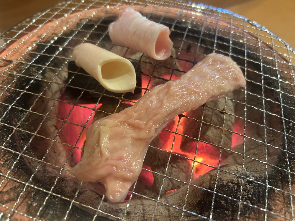 ホルモンの何処かの部位