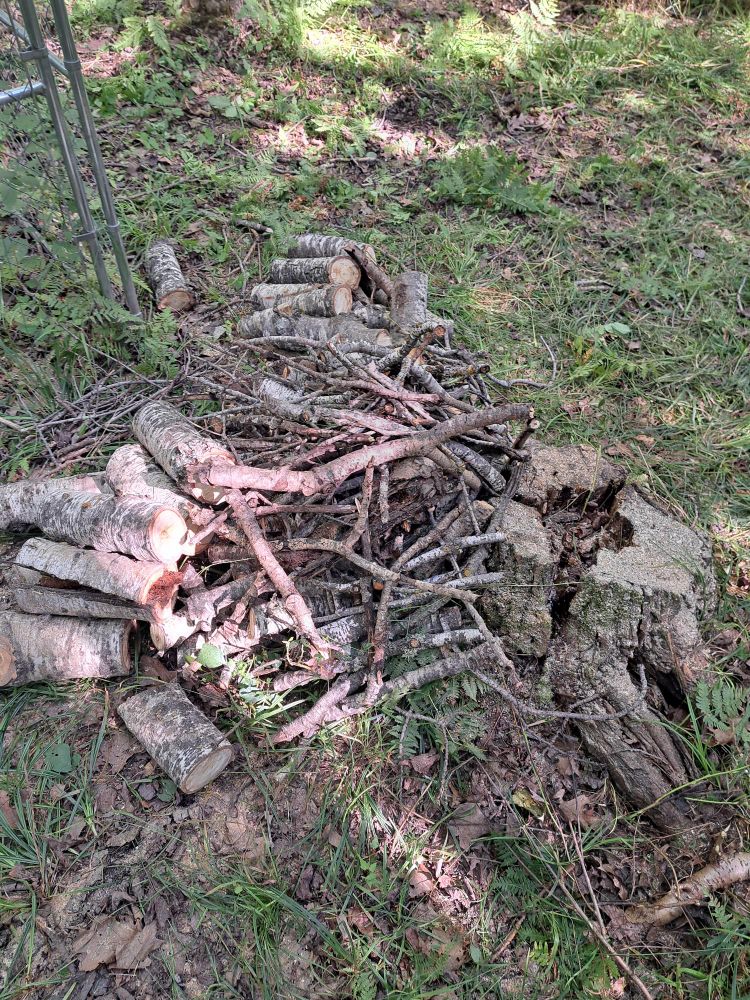 Wood pile is 7-8 feet long and 2.5 feet tall. Some is dry, most of the bigger stuff is not 