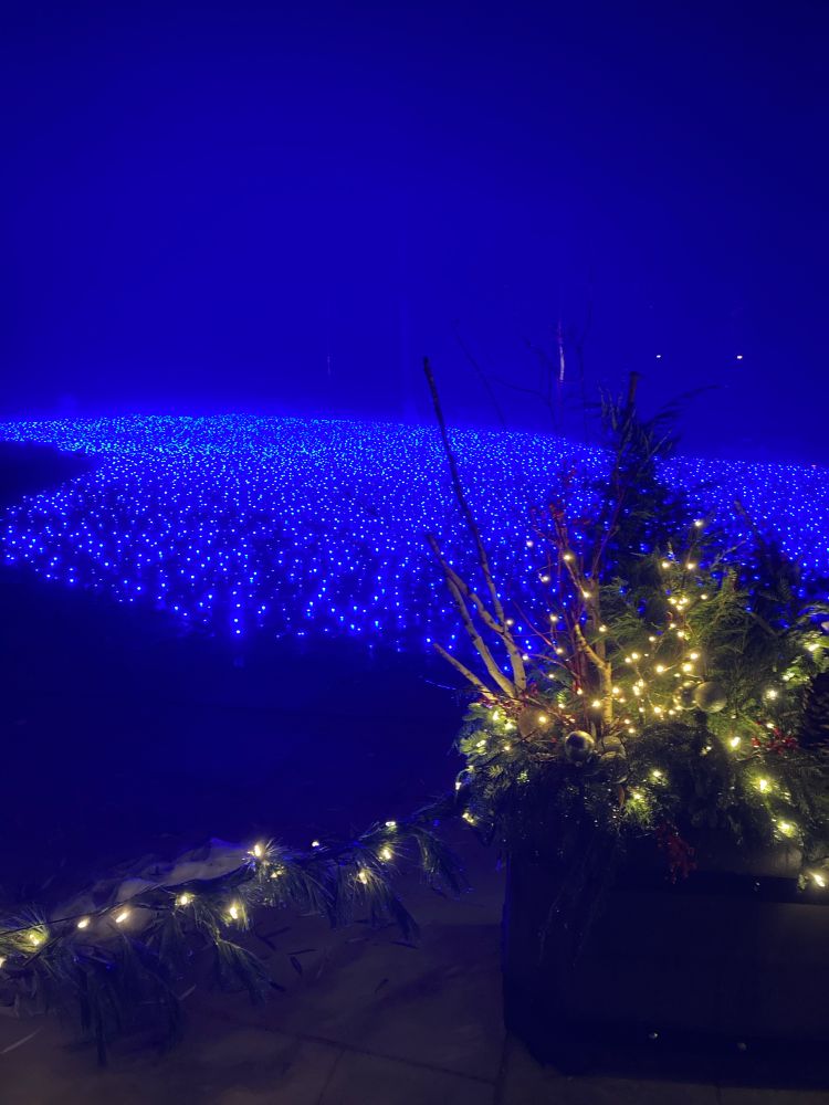 The Edsel Ford estate covered the outdoor pool and filled the area with blue lights.