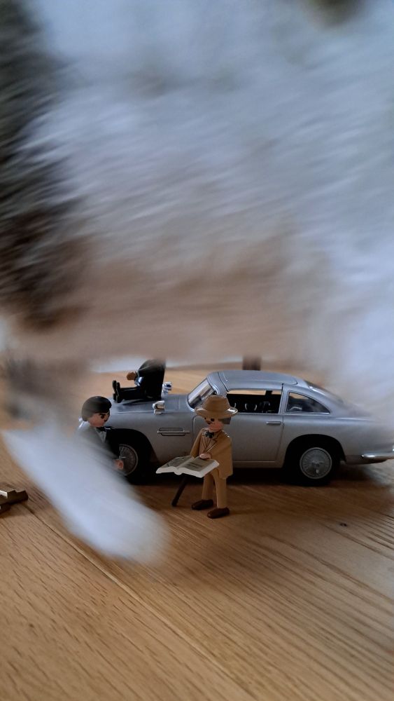 Verwischtes Foto einer vorbeihuschenden Katze vor Playmobil-Figuren.