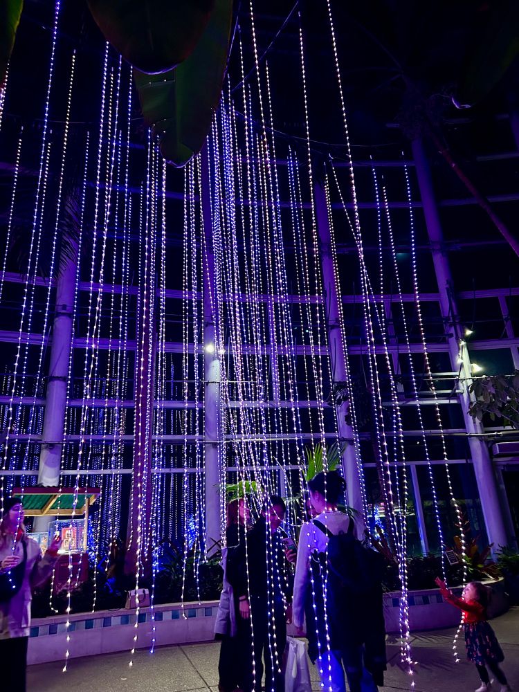 Hanging purple light curtain 