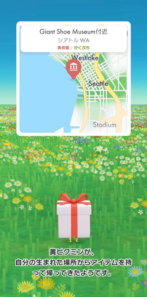 花が植えられた広い草原の真ん中に、赤いリボンがかかった白い箱を抱えた黄ピクミンが立っている。箱が大きくてピクミンは脚しか見えない。その下に「黄ピクミンが、自分の生まれた場所からアイテムを持って帰ってきたようです。」の文字。上部には四角いウィンドウでシアトル付近の簡易地図が出ており、美術館のマークがポイントされている。地図の上部には「Giant Shoe Museum付近　シアトル WA　美術館/がくぶち」の文字。