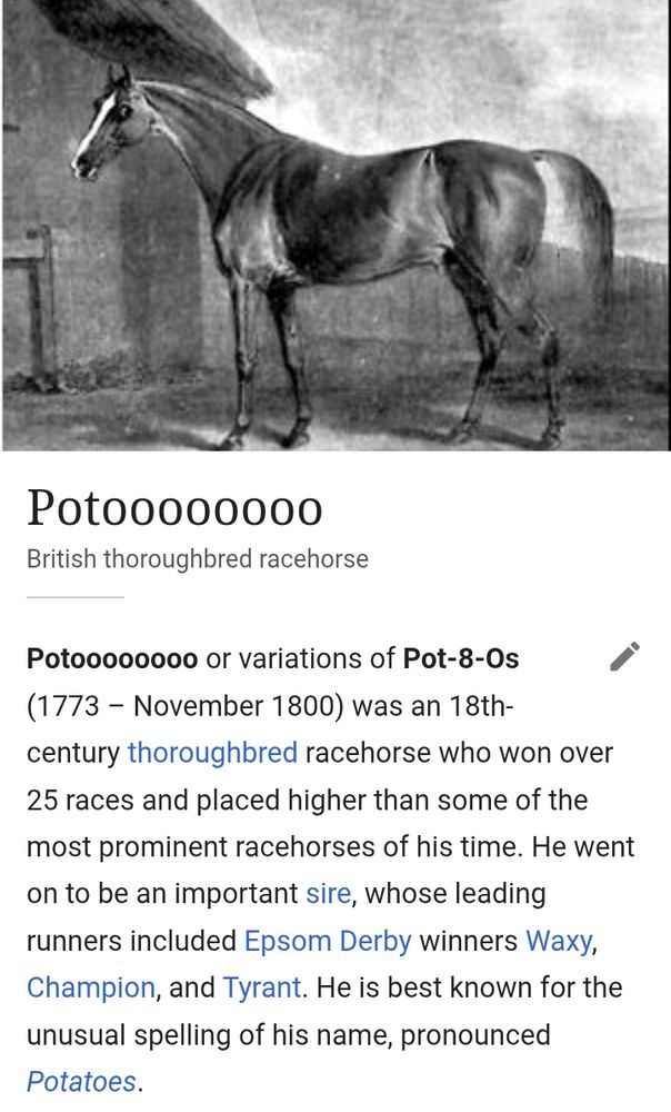 Screenshot from Wikipedia:
A black and white image of a racehorse with text below reading

Potoooooooo
British thoroughbred racehorse

Potoooooooo or variations of Pot-8-Os (1773 - November 1800) was an 18th-century thoroughbred racehorse who won over 25 races and placed higher than some of the most prominent racehorses of his time. He went on to be an important sire, whose leading runners included Epsom Derby winners Waxy, Champion, and Tyrant. He is best known for the unusual spelling of his name, pronounced Potatoes.
