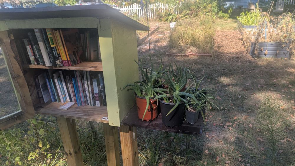 A little free library, yellow, filled with books. Attached is a small stand with aloe plants, spider plants and a bucket of milkweed pods