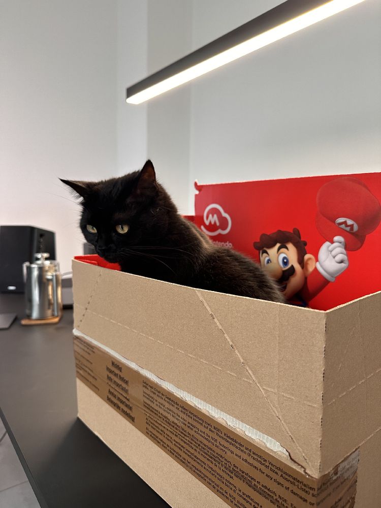A box that is supposed to contain a Nintendo Switch 2 delivery, it even has Mario lifting his cap on the inside. But instead it is a box full with Youma the black cat!

French press and office in the back.