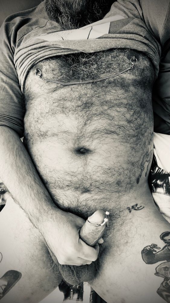 Lying in bed with a t-shirt pulled up to my armpits, wearing a chain connecting the nipple rings, and holding my bushy uncut pierced erect dick in my hand 