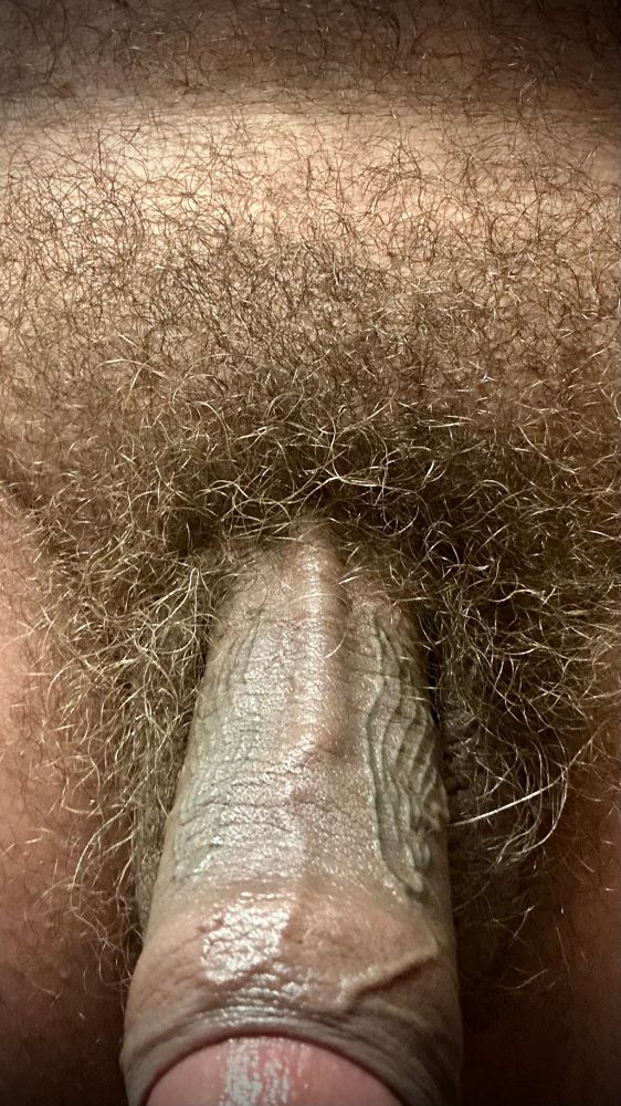Close up of my bushy and the top of my tattooed dick 