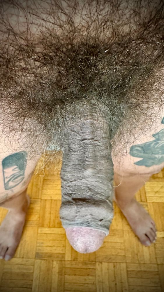 My bushy uncut erect dick from above. 