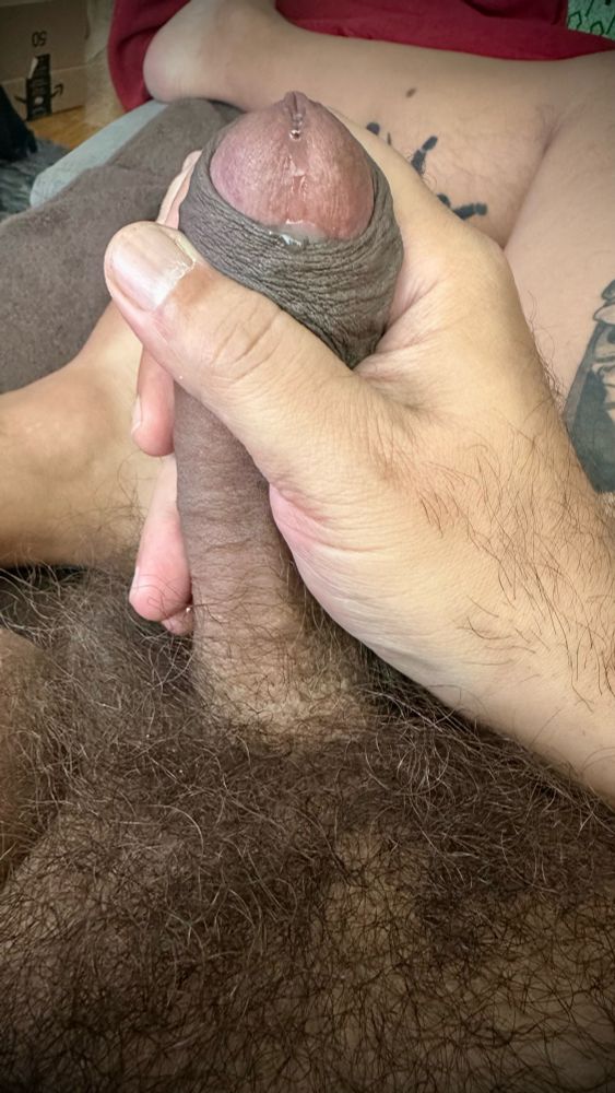 Close up of my bushy, uncut, erect penis dripping precum. 