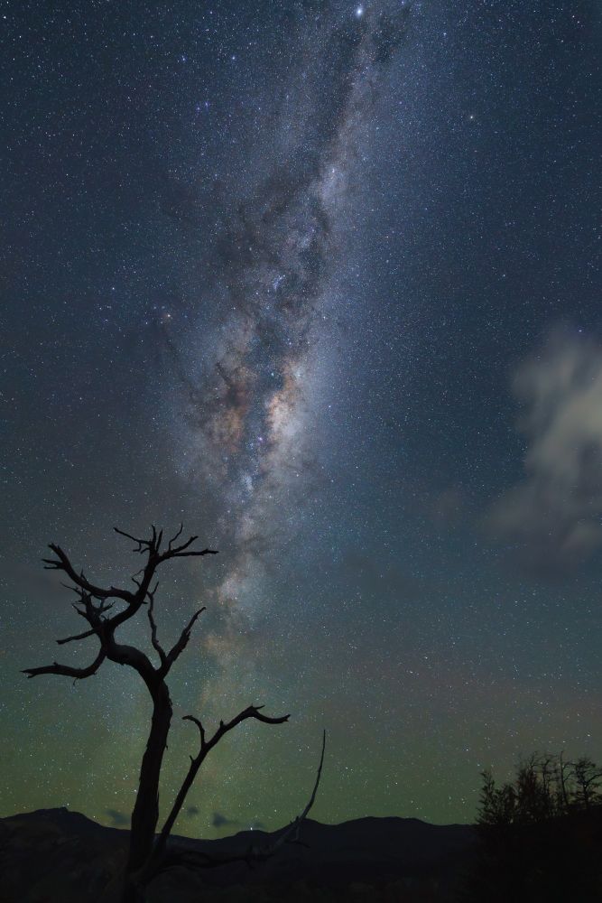 Milky Way over a dead tree in the Argentina Patagonia landscape.