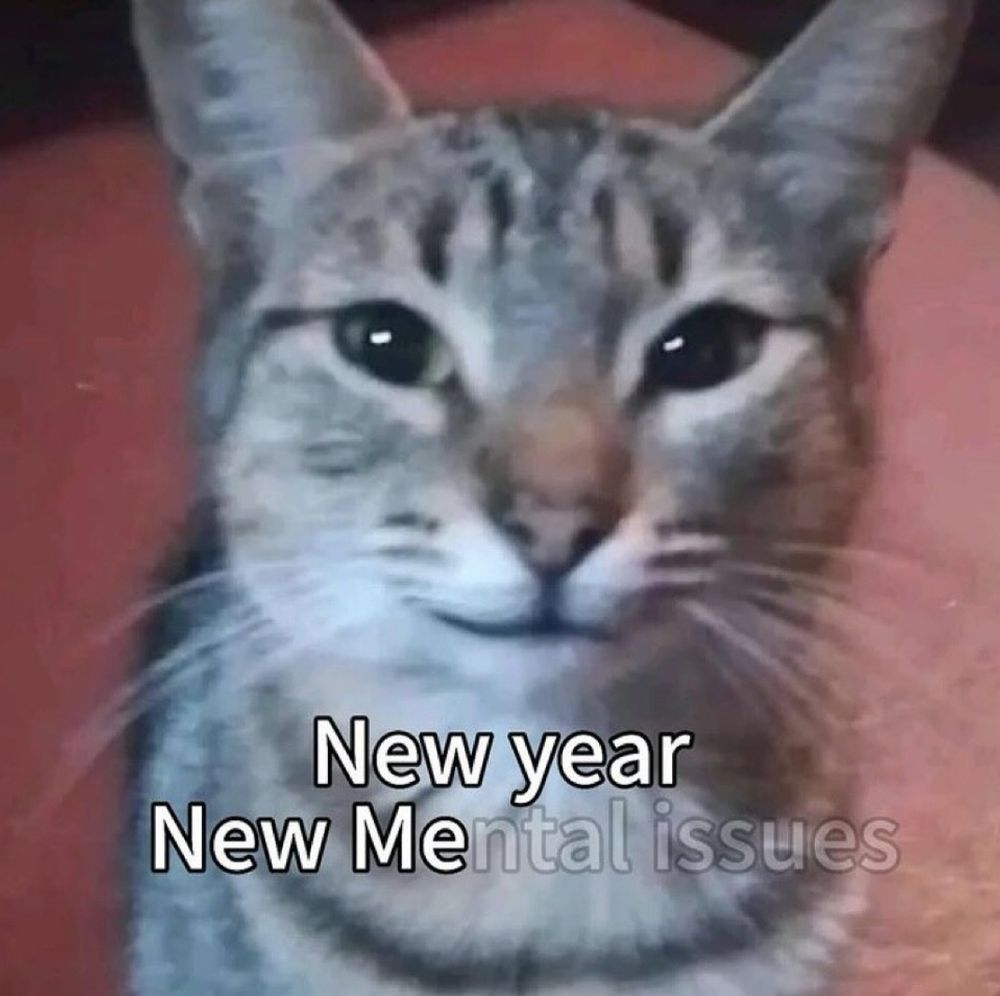 Meme of a cat and the caption new year new mental issues 