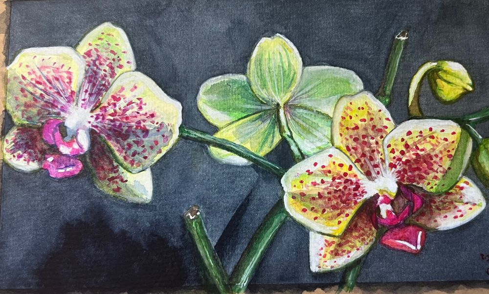 A watercolor picture of some brightly colored pink and green orchids.